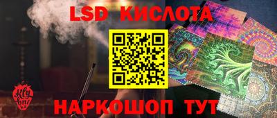 шишки Можга
