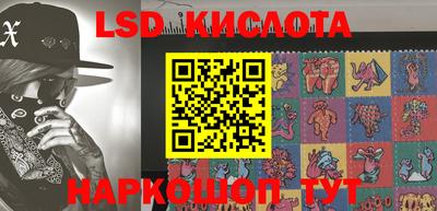 шишки Можга