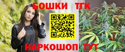шишки Можга