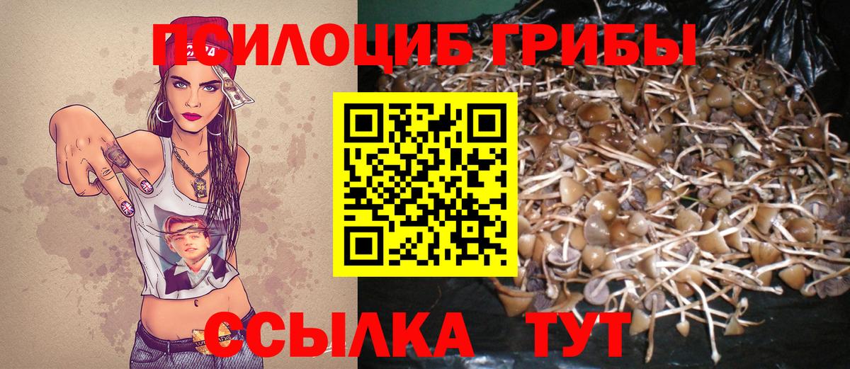Галлюциногенные грибы MAGIC MUSHROOMS Советский