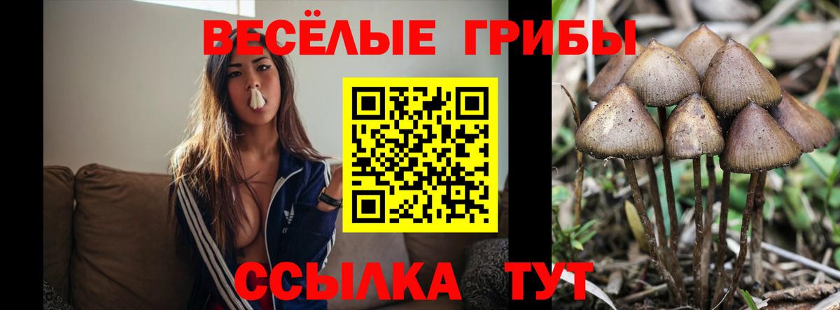 Псилоцибиновые грибы ЛСД  Вход с VPN  Советский  Псилоцибиновые грибы мицелий 